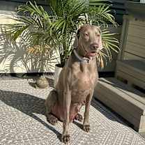 Thumbnail photo of Autumn #2