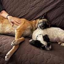 Thumbnail photo of Marcella -  Located in TX #4