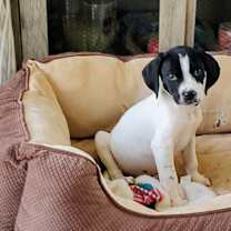 Thumbnail photo of Jingle #1