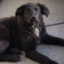 Thumbnail photo of Cherry Chill #2