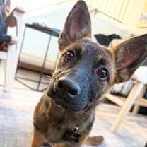 Thumbnail photo of Loam 2 #2