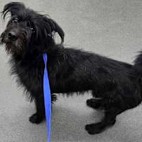 Thumbnail photo of 161646 #1