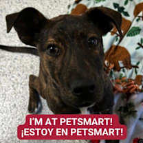 Thumbnail photo of Parker #2