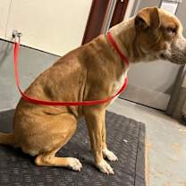 Thumbnail photo of Grayson #3