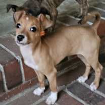 Thumbnail photo of Tomb Raider #2