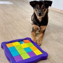 Thumbnail photo of Harry #4