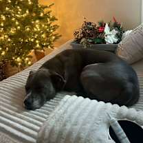 Thumbnail photo of Matteo now Diambar #2