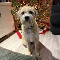 Thumbnail photo of Leeloo #1