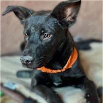 Thumbnail photo of Jhere #1