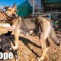 Thumbnail photo of Mack #3