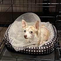 Thumbnail photo of Christie #2