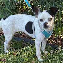 Thumbnail photo of SERENA #1