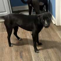 Thumbnail photo of Eliza #2