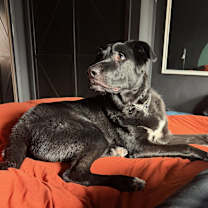 Thumbnail photo of Photograph (Teddy Bear) #3