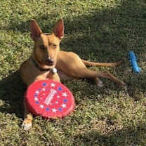 Thumbnail photo of Jesup #2