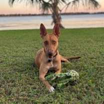 Thumbnail photo of Jesup #3