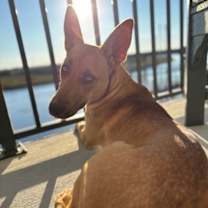 Thumbnail photo of Jesup #4