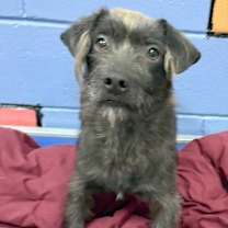 Thumbnail photo of DONALD/URGENT #4