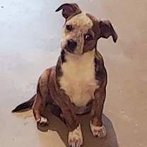 Thumbnail photo of **ROSITA** #2