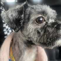 Thumbnail photo of Leah #4