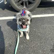 Thumbnail photo of Leah #3