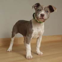 Thumbnail photo of Sandy D67571 #1