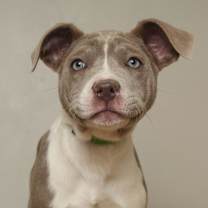 Thumbnail photo of Sandy D67571 #3