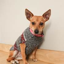 Thumbnail photo of Barbie** D65373 #1