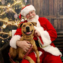 Thumbnail photo of Peanut #2