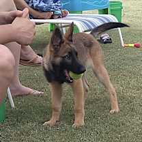 Thumbnail photo of Ziva #1