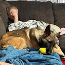 Thumbnail photo of Ziva #2