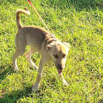 Thumbnail photo of Leah #2