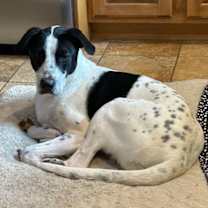 Thumbnail photo of Jamal #4