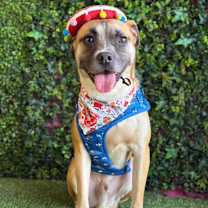 Thumbnail photo of Junior #4