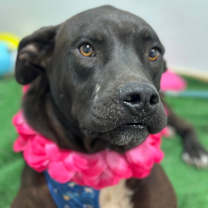 Thumbnail photo of Keanu #1