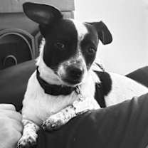 Thumbnail photo of Jordan #1