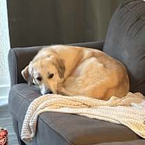 Thumbnail photo of Luna #4