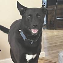 Thumbnail photo of Smokey #2