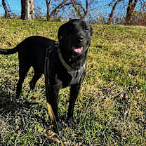 Thumbnail photo of Happy #3