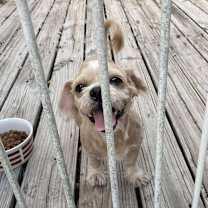 Thumbnail photo of Honey Pot B1109 #4