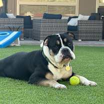 Thumbnail photo of George #4