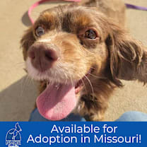 Thumbnail photo of Katie Lynn - Missouri (D25-154) #1