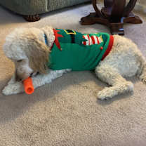 Thumbnail photo of Jeffrey Smith #2