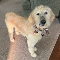 Thumbnail photo of Jeffrey Smith #3