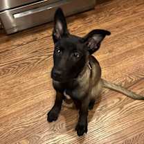 Thumbnail photo of Storm located in NY #1