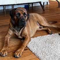 Thumbnail photo of Kodiak #1