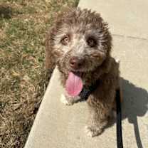 Thumbnail photo of Kai #3