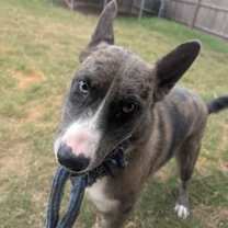 Thumbnail photo of Espresso #1