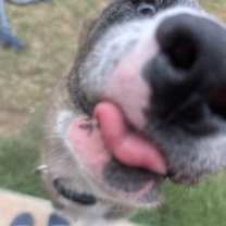 Thumbnail photo of Espresso #3