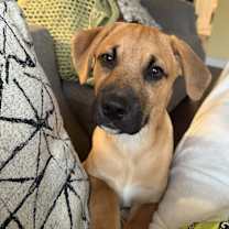 Thumbnail photo of Hendrix #1